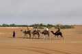 IMG-7403