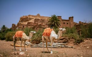 Discover the Best Riads Near Ait Benhaddou, Morocco: Authentic Stays in the Heart of a UNESCO Wonder (2026 Guide)