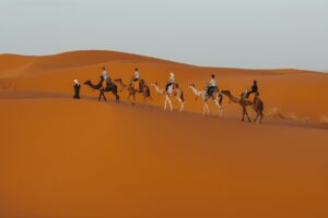 Ouarzazate Desert Tour: The Ultimate Guide to Sahara Adventures from the Gateway of the Desert (2026)