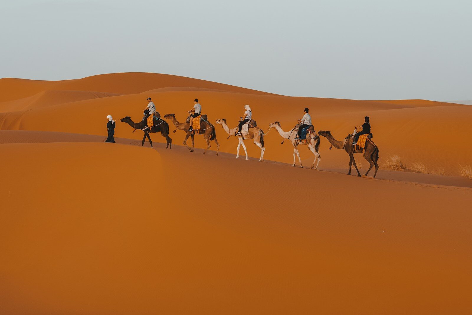 Ouarzazate Desert Tour: The Ultimate Guide to Sahara Adventures from the Gateway of the Desert (2026)